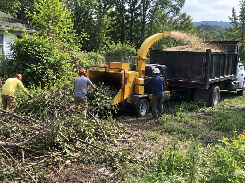 Brush Removal & Haul-Off: an example of the tree work we handle around Kingsport